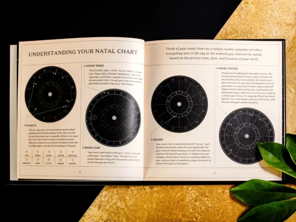 Gutschein für Stellamia (pdf) – Bild 3